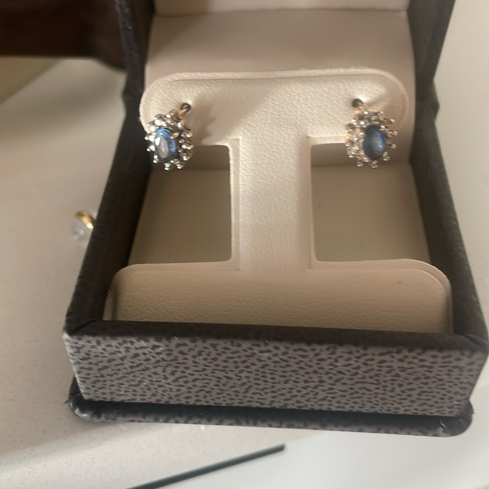 Elegant Blue and Silver Stud Earrings